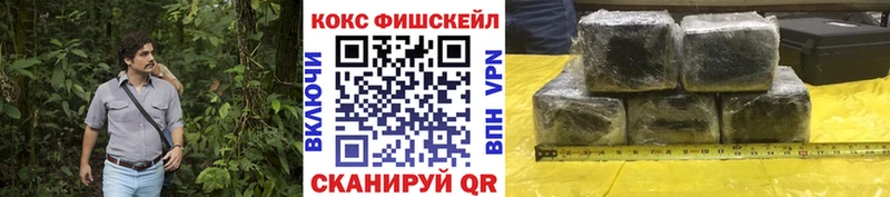 купить наркоту  ОМГ ОМГ tor  COCAIN Fish Scale  Ефремов 