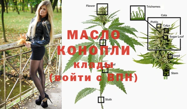молекула духа Дмитровск
