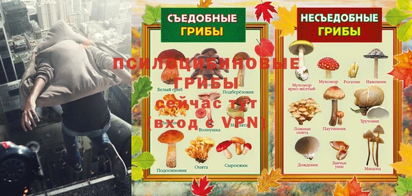 герыч Дмитров