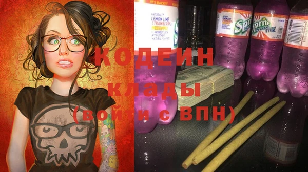 молекула духа Дмитровск