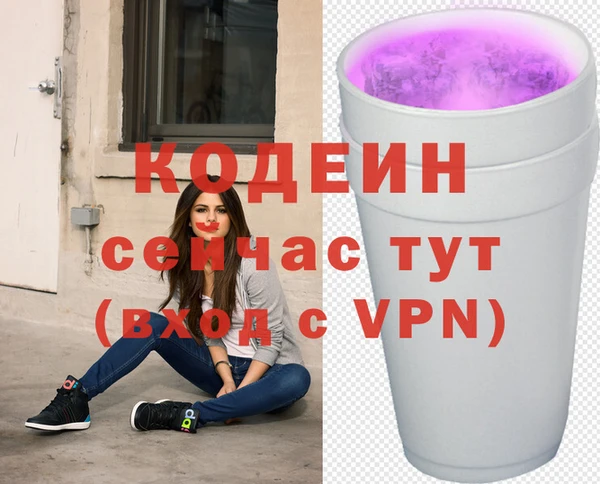 молекула духа Дмитровск