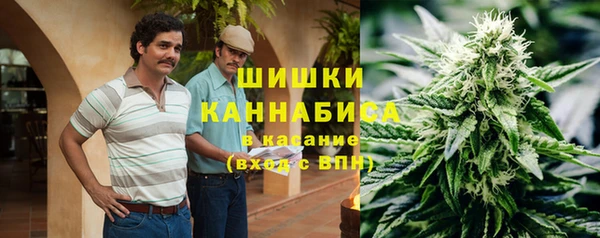 молекула духа Дмитровск
